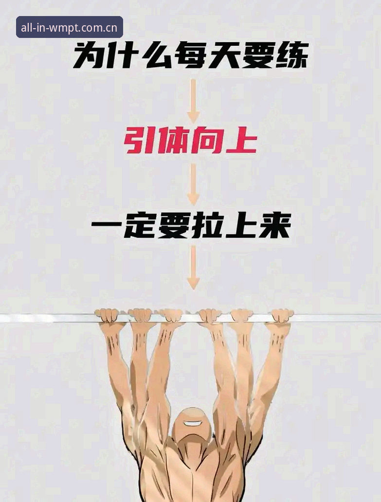 完美体育平台使用教程：从新手到达人的完整操作指南